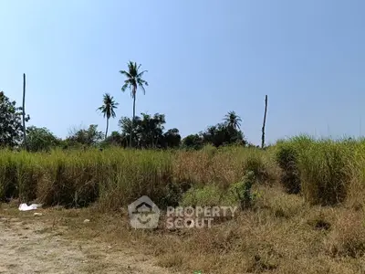 image_rental-29337734