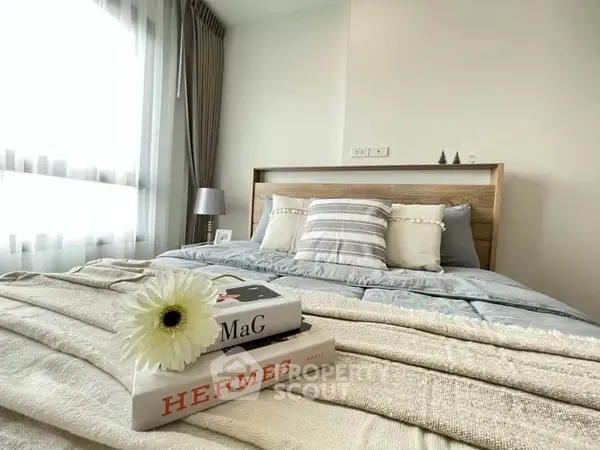 image_rental-30919307