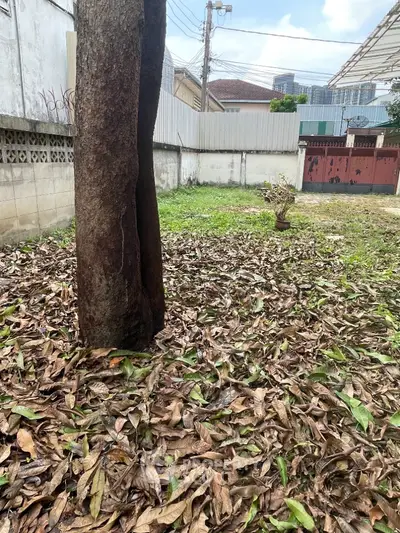 Spacious backyard with mature tree and potential for landscaping in urban setting.