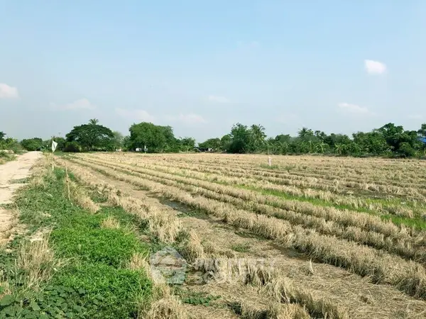 image_rental-14308050