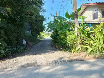 image_rental-31471702