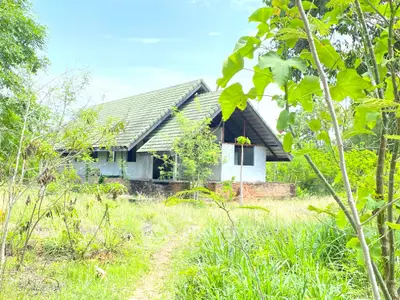 Charming countryside house surrounded by lush greenery, perfect for nature lovers seeking tranquility.