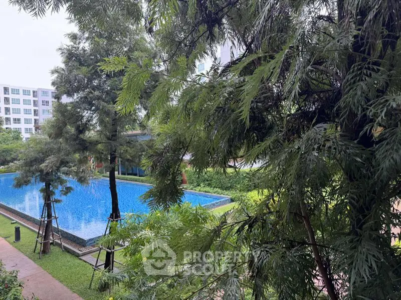 Serene residential pool surrounded by lush greenery and modern architecture.
