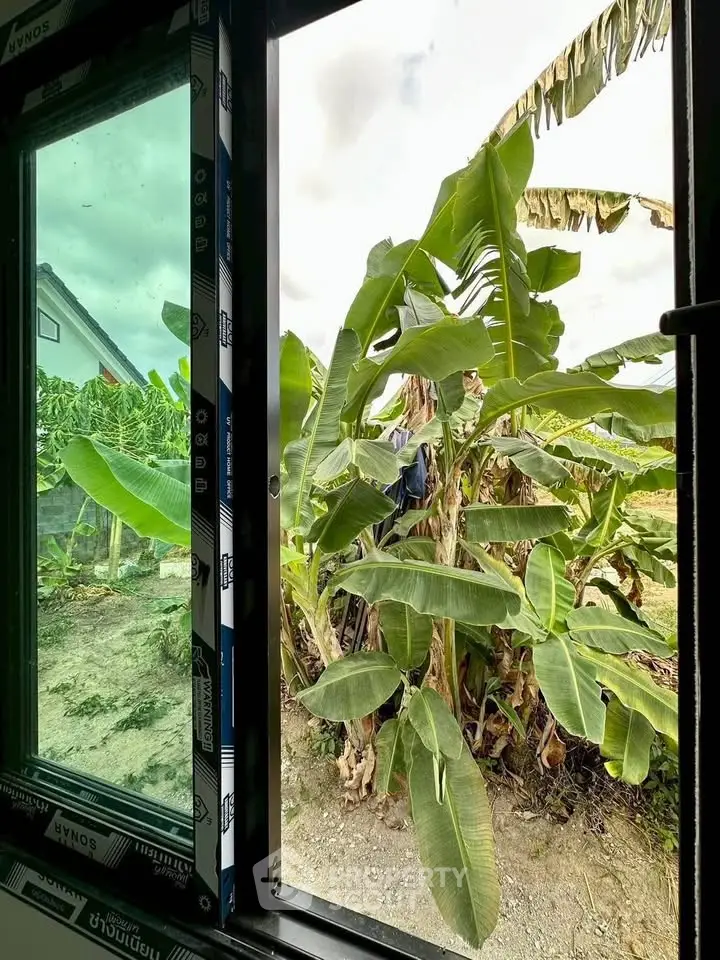 View from a window overlooking lush banana plants and a neighboring house, offering a serene natural setting.