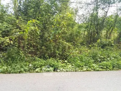 image_rental-29271162