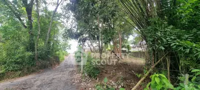 Scenic rural property with lush greenery and a gravel path, ideal for nature lovers seeking tranquility.