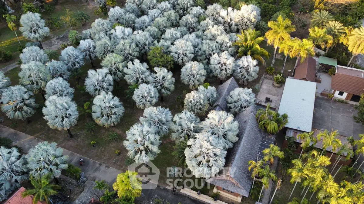 Aerial view of lush tropical property with palm trees and traditional buildings.