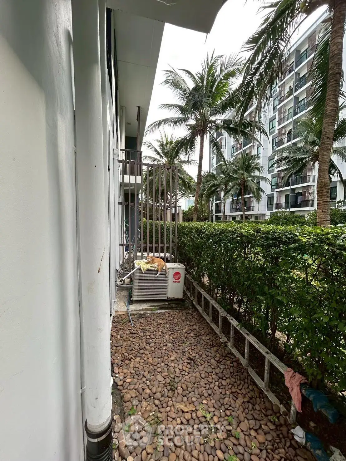 Charming garden view with lush greenery and modern building exterior, perfect for serene living.