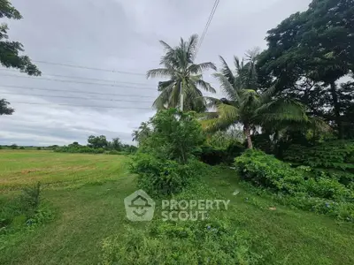 Lush green landscape with palm trees and open field, perfect for serene living.