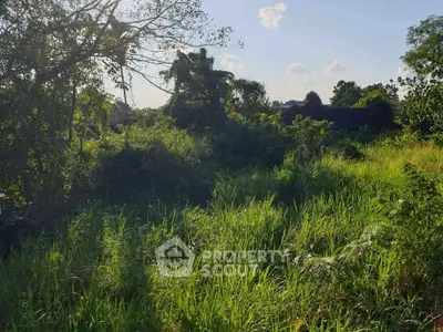 Lush green landscape with potential for real estate development