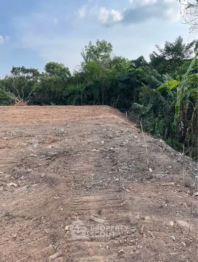 Expansive cleared land plot surrounded by lush greenery, perfect for development opportunities.