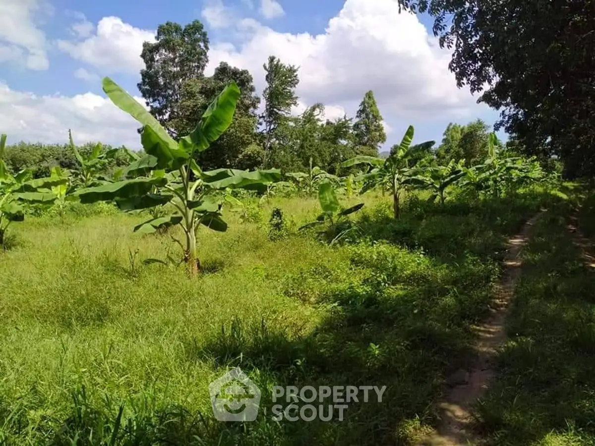 Lush green land with banana plants under a clear blue sky, ideal for agricultural investment.