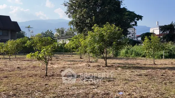 image_rental-22389540