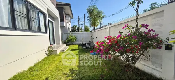 image_rental-28454138