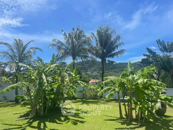 image_rental-13673858