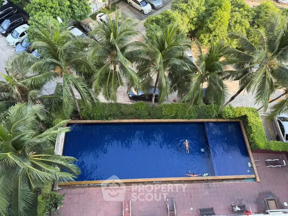 Luxurious aerial view of a serene swimming pool surrounded by lush palm trees and parked cars, perfect for relaxation.