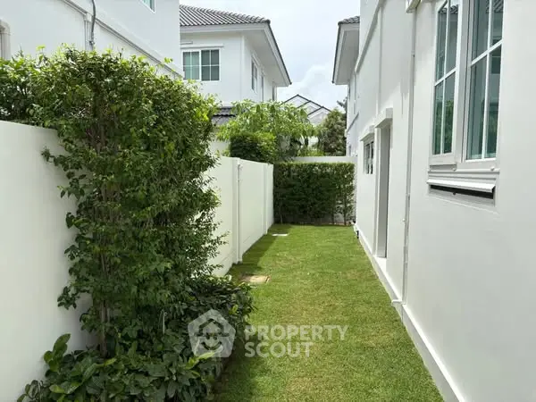 Charming side garden with lush greenery and white exterior walls in modern home