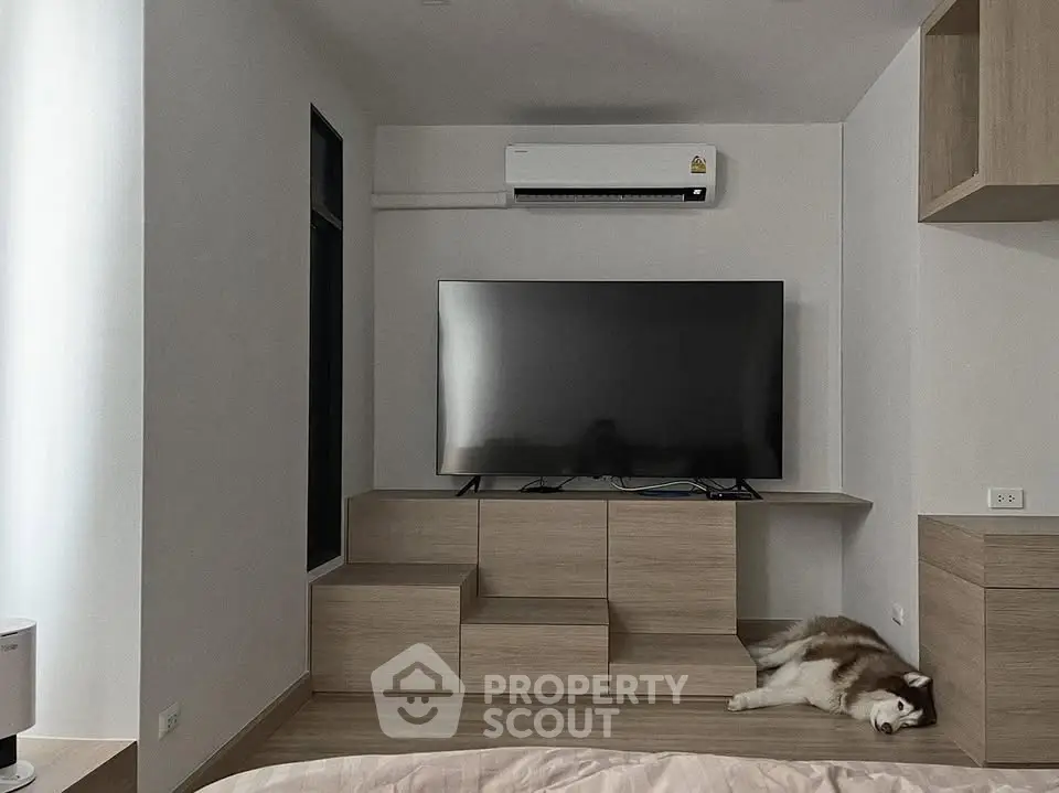 Modern living room with sleek TV setup and cozy atmosphere, featuring a relaxed pet for a homely touch.