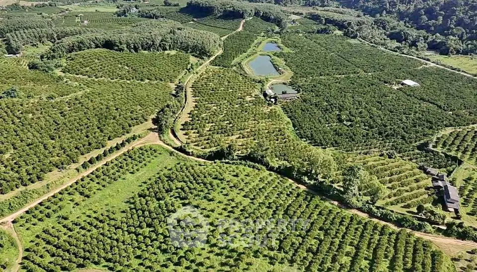 Expansive aerial view of lush green farmland with ponds and trees, ideal for agricultural investment.