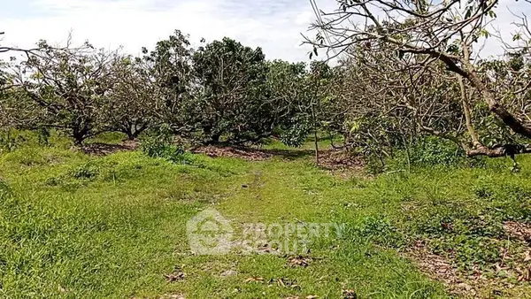 image_rental-15224336