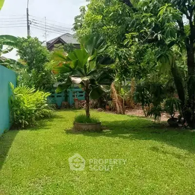 Lush green garden with tropical plants and trees, perfect for relaxation and outdoor activities.