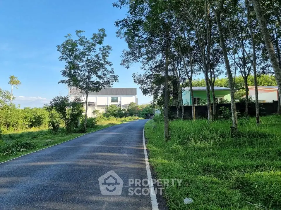 Scenic road leading to modern homes surrounded by lush greenery and trees.