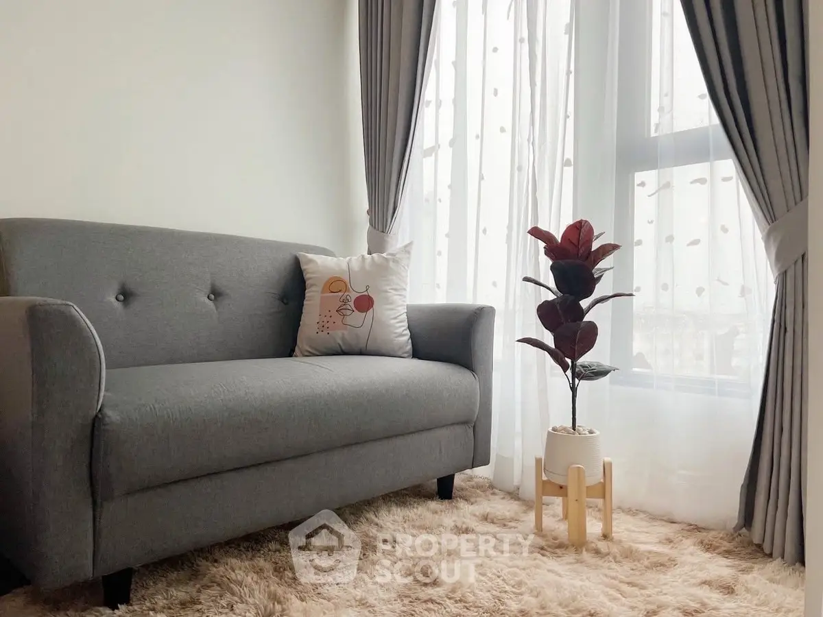Cozy living room with grey sofa, plush rug, and potted plant by a window.