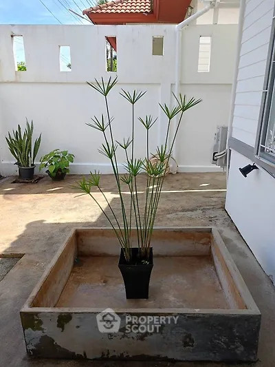 Charming outdoor patio with potted plants and modern white wall design