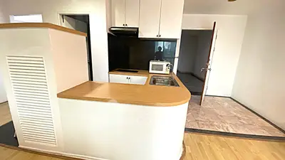 Charming kitchen with open layout and modern appliances in cozy apartment