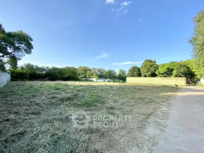 Spacious vacant land with lush greenery, perfect for development opportunities.