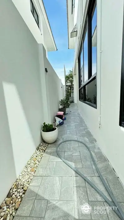 Modern side pathway with sleek design and potted plants in contemporary home exterior.