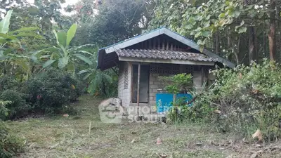 Charming rustic cabin nestled in lush greenery, perfect for nature lovers seeking tranquility.