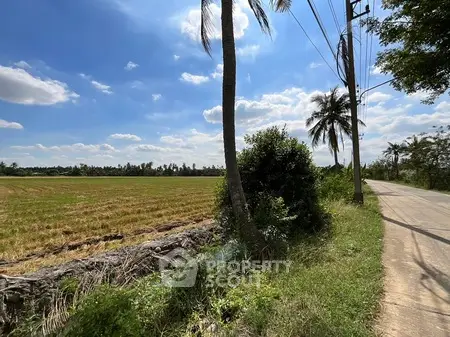 image_rental-21906824