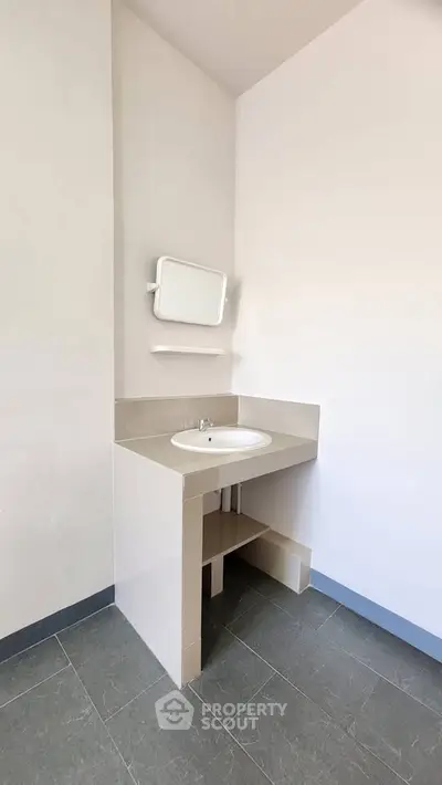 Minimalist bathroom corner with modern sink and mirror