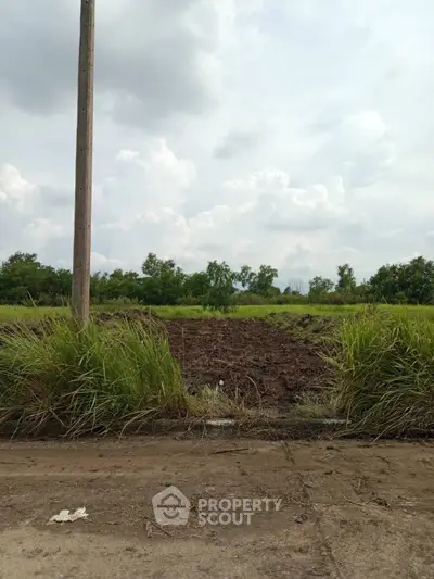 Expansive plot of land with lush greenery, perfect for development opportunities.