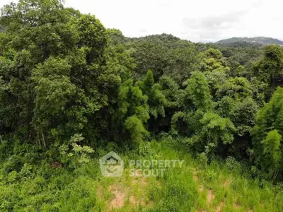 Lush green land plot surrounded by dense forest, ideal for eco-friendly development.