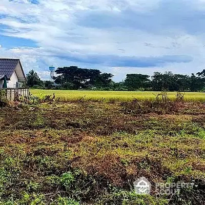 Expansive rural land with potential for development, featuring lush greenery and a clear sky, perfect for a custom dream home.