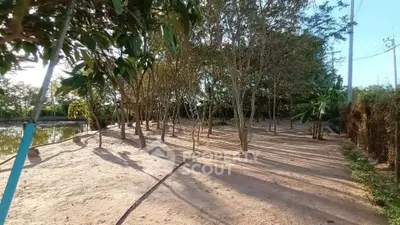 Spacious garden area with mature trees and serene surroundings, perfect for outdoor relaxation and nature lovers.