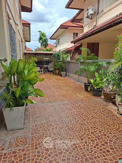 image_rental-31338933