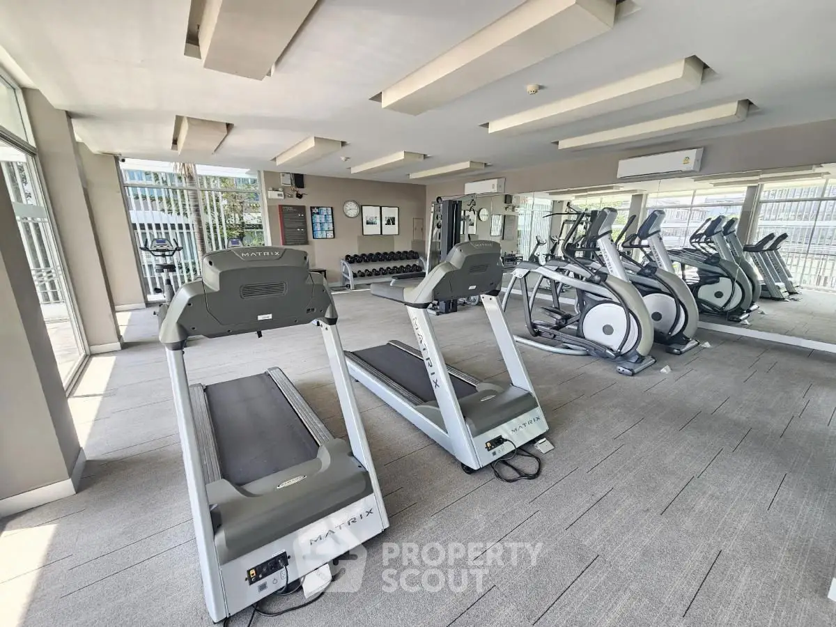 Modern gym with state-of-the-art fitness equipment and large windows for natural light.
