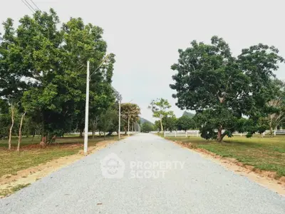 Scenic gravel driveway lined with lush trees and open green fields, perfect for serene country living.