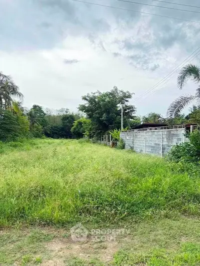 Expansive green land plot with lush vegetation, perfect for development opportunities.