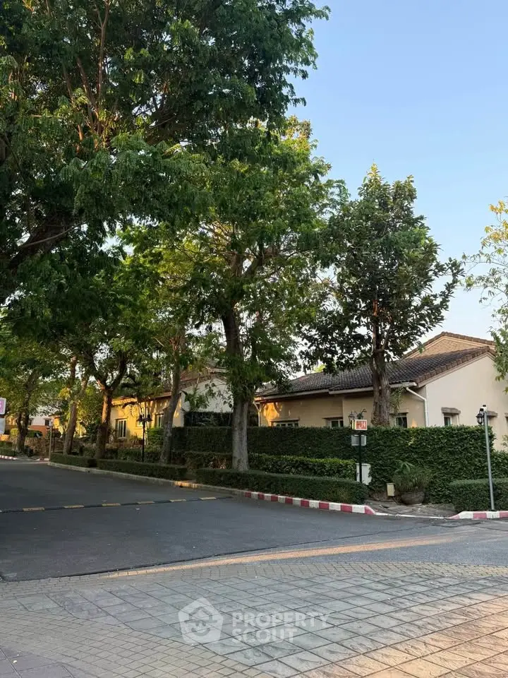 Charming suburban street view with lush greenery and elegant homes, perfect for tranquil living.