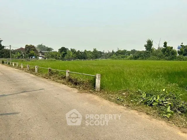 Expansive green land plot ideal for development with road access and lush surroundings.