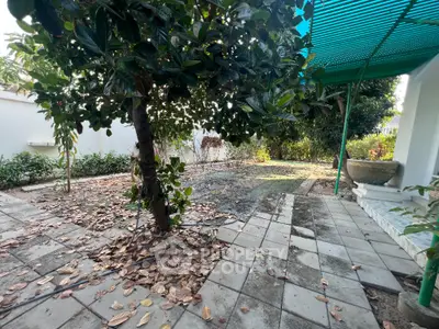 Charming garden with lush greenery and paved walkway in serene residential setting.