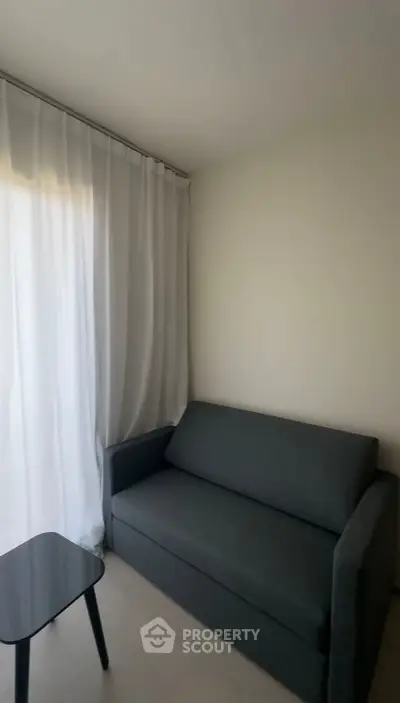 Cozy living room with modern gray sofa and sheer white curtains