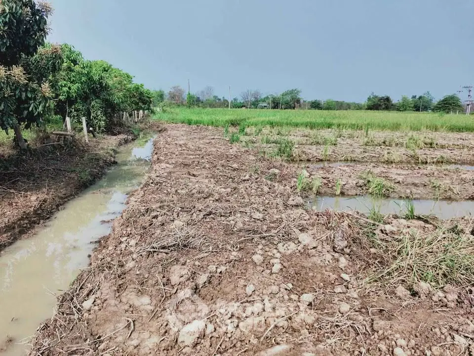 Expansive agricultural land with lush greenery and irrigation channels, ideal for farming opportunities.