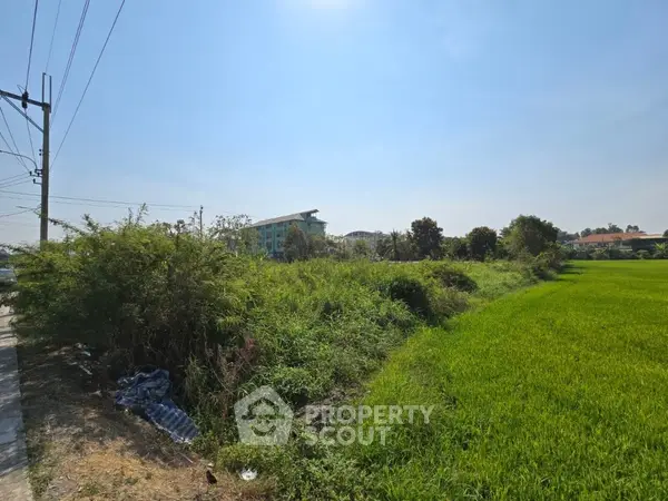 image_rental-22657689