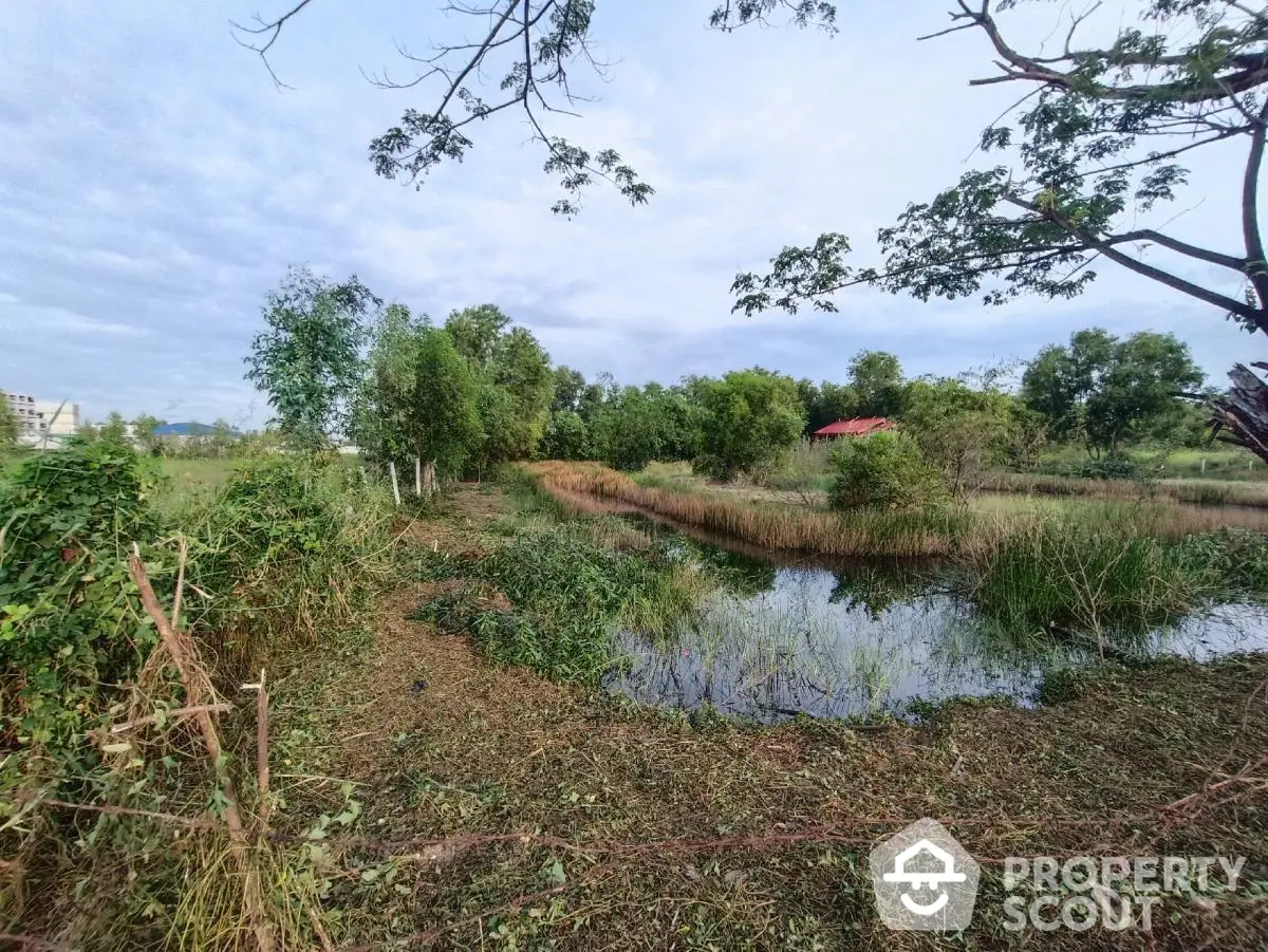 Expansive land with lush greenery and serene water feature, perfect for development opportunities.