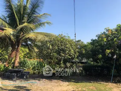 Lush garden with tropical trees and outdoor seating area under clear blue sky.